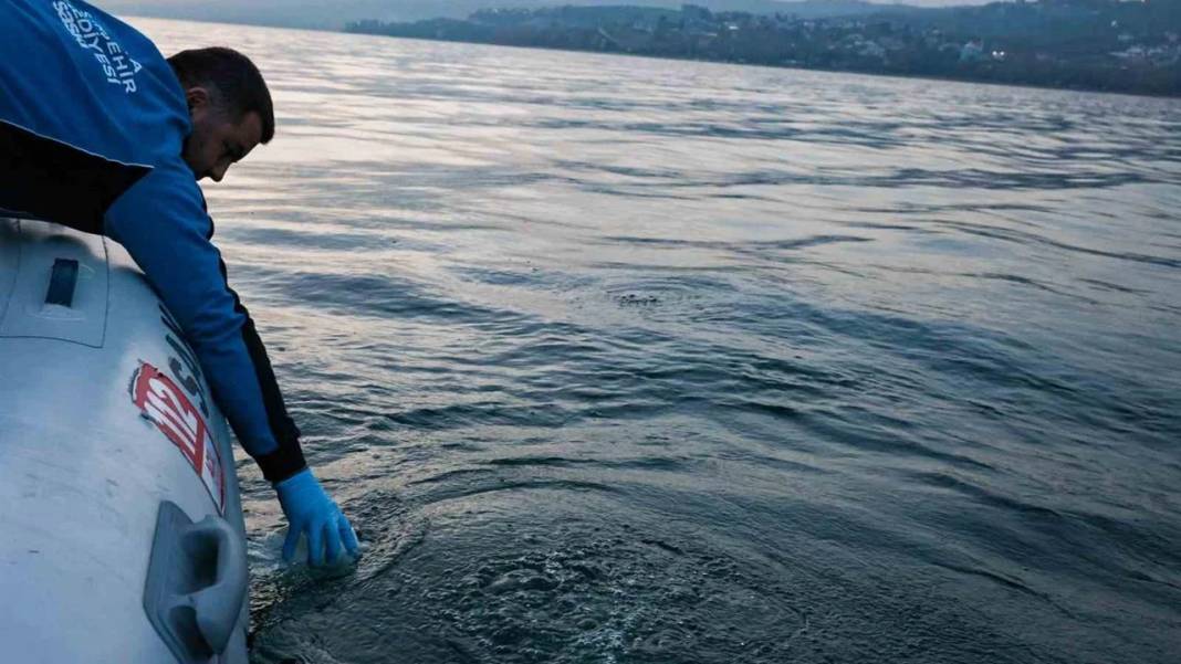 Sapanca Gölü’ndeki kabarcıklar panik yarattı: Depremin işareti mi? Uzmandan net açıklama 6